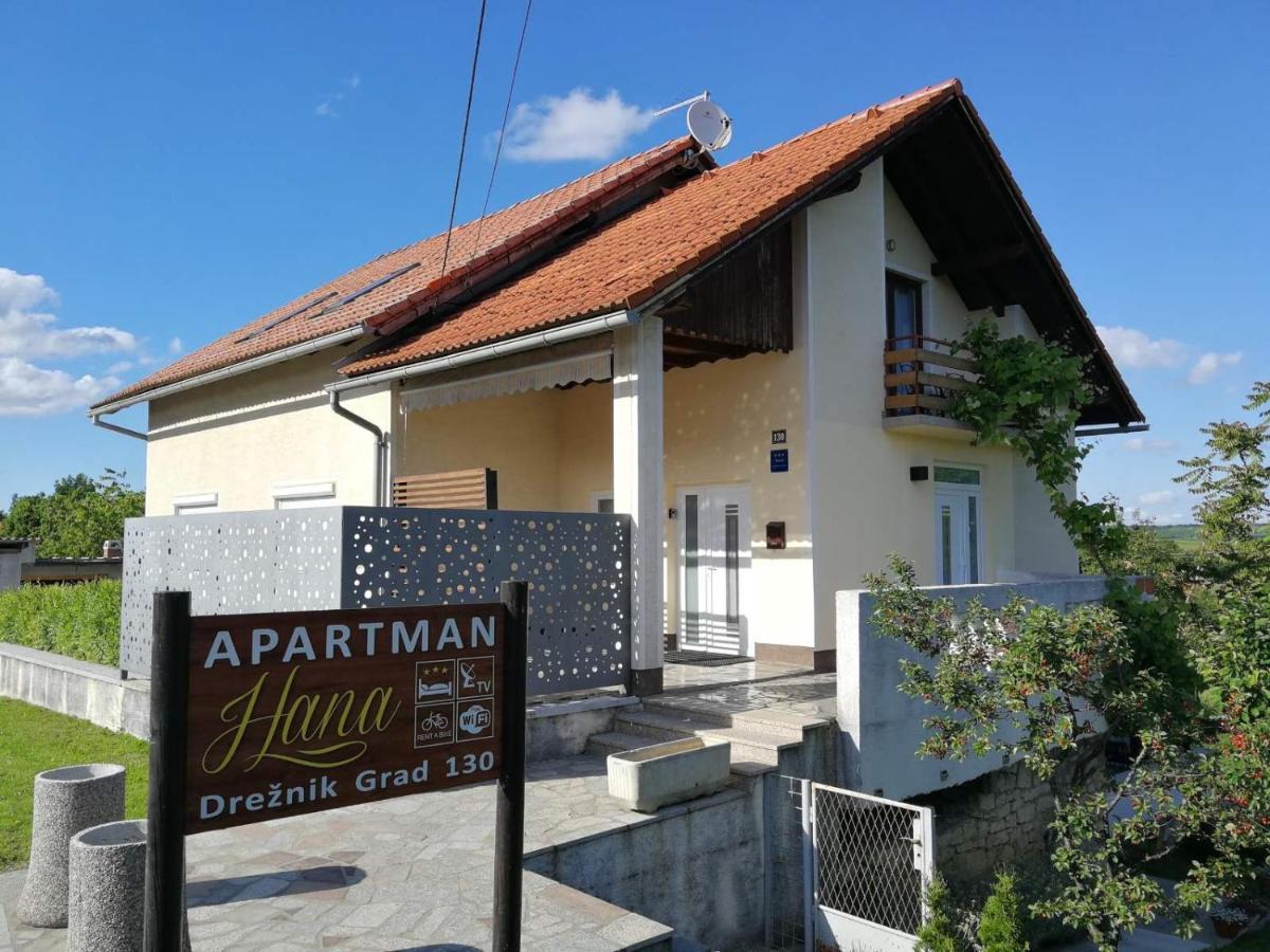 Apartman Hana Apartment Dreznik Grad Exterior photo