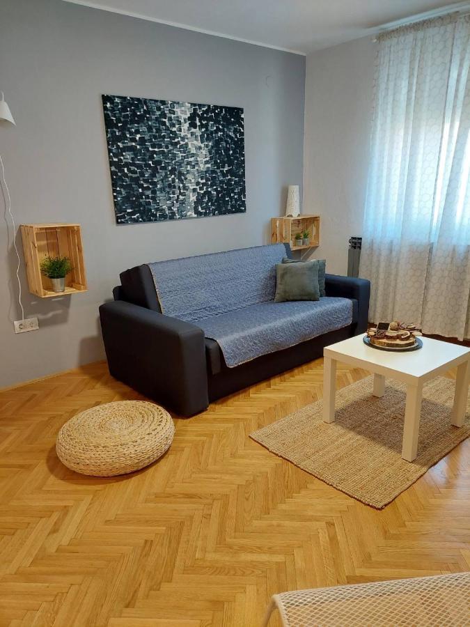 Apartman Hana Apartment Dreznik Grad Exterior photo